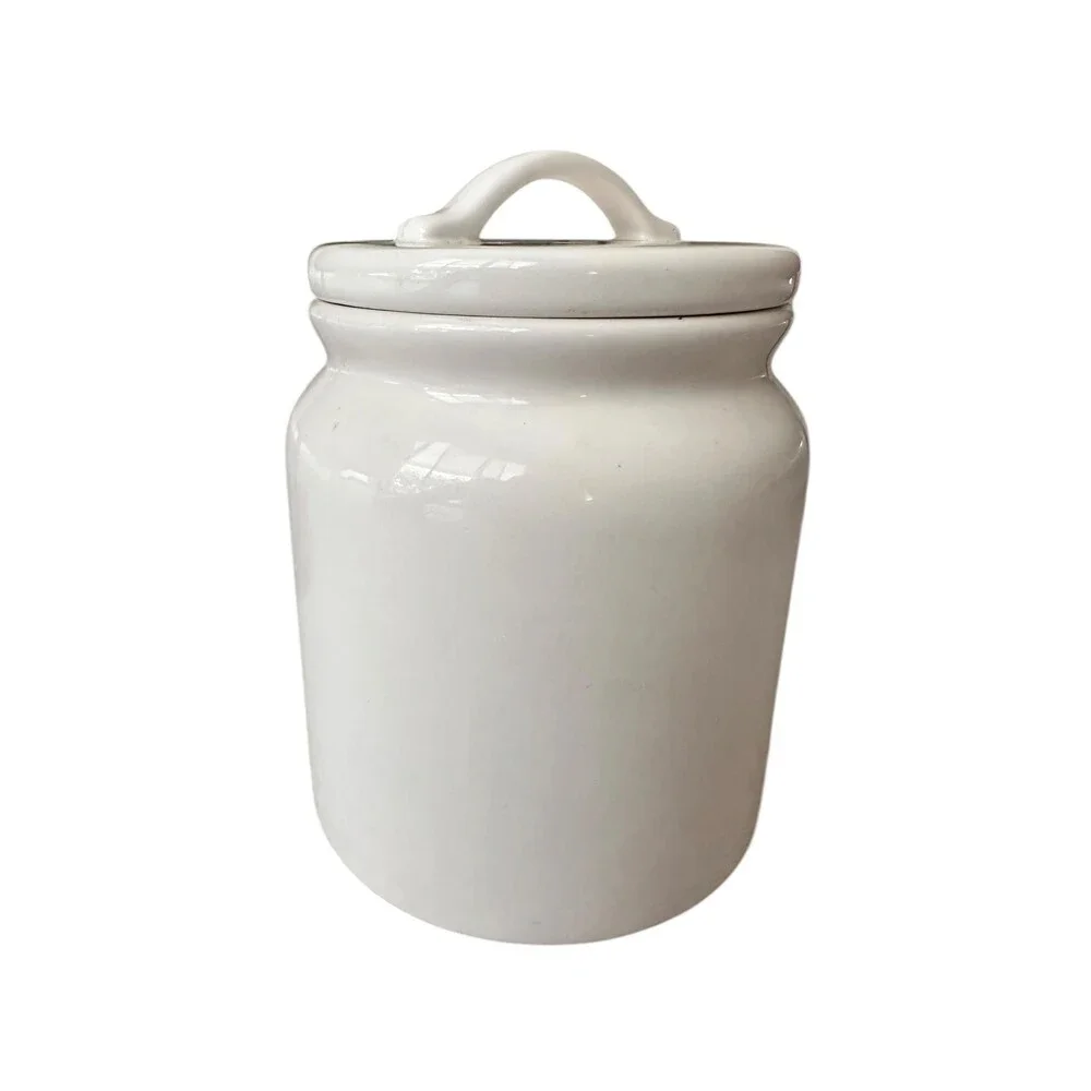 Vintage Pier 1 Imports Ironstone Seahorse Ceramic Kitchen Canister Jar With Lid